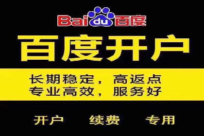 竞价广告赚钱之道：百度案例解析